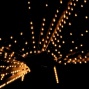 Casino Lights