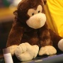 Monkey-ing around