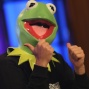 Tony G as Kermit