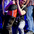 Trevor Pope is greeted by his dog, Revis, after winning event 02 at the WSOP.
