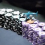 Michael "TheSharkBoy" Palti's Chip Stack
