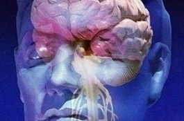 psychologie psychologie