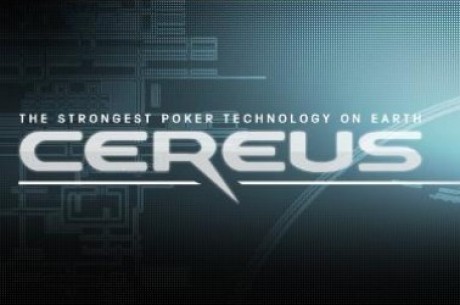 Cereus Network Cereus Network