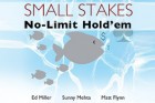 small stakes buch