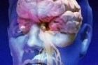 psychologie