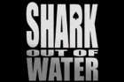 shark out of water