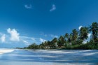 caraibi