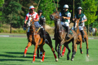 polo saint tropez