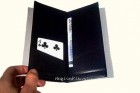 portefeuille electronique e-wallet poker
