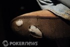 Ciabatte WSOP