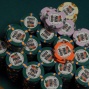 2nd in chips Darvin Moon chips