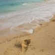 Bahama's Beach - Footprints in the sand washed away by the ocean