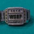 2014 WSOP Main Event Champion Bracelet