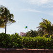 Bahamian flag - Atlantis Paradise Island