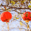 Crown's Lunar New Year Celebration