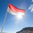 Monte-Carlo flag