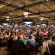 Tournament area