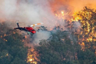Bushfires