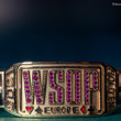 WSOPE Bracelet