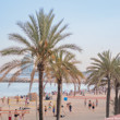 EPT Barcelona Location Shots