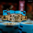 WSOP Cards, Chips, Branding 2024