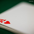 Cards, Chips, WSOP Branding 2024