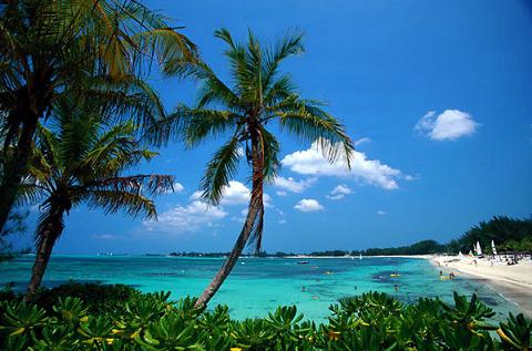 Playing the dream.... on Paradise Island.. 101