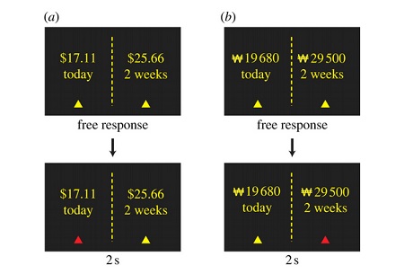 Play Hungry: New Research Finds Improved Decision-Making 101