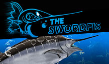 Feeling Hungry? Check Out The "Fish 'N' Chips" Series at 888poker 104