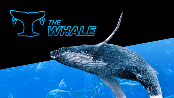 888poker The Whale