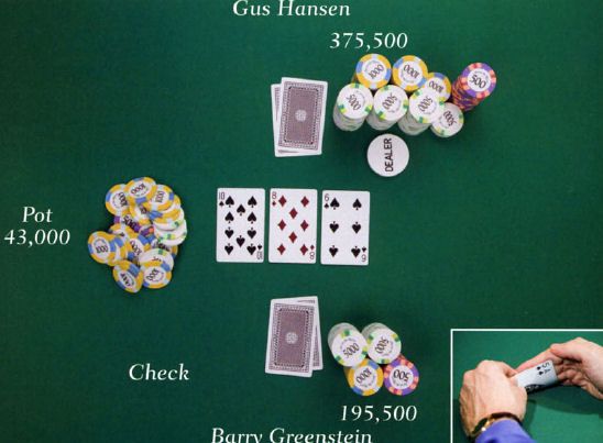 Kirjaesittely: Barry Greenstein – Ace on the River: An Advanced Poker Guide 103