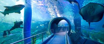Melbourne Aquarium