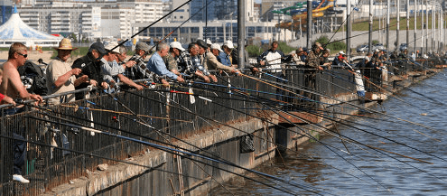 DoN strategija: kada verta būti nitu? 101