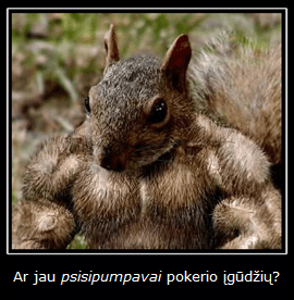 Nesimokymas – bandymai, o mokymasis – pinigai. Taisyklė nr. 5: Studijuokite strategiją! 104