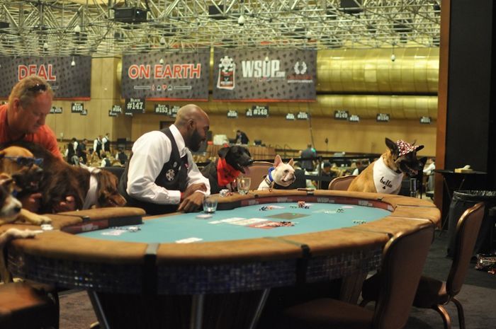 All Mucked Up: 2012 World Series of Poker Day 45 Live Blog 118