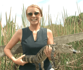 WPT Alpha8 on FOX Sports 1 Florida Part I: The First Hand, Alligators & Mercier's Pad 102