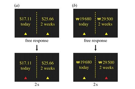 Play Hungry: New Research Finds Improved Decision-Making 101
