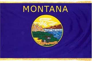 The 50-State iGaming Initiative: Montana to New Jersey 101