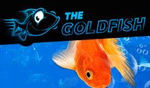 Feeling Hungry? Check Out The "Fish 'N' Chips" Series at 888poker 101
