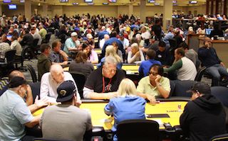 bestbet Dir. of Poker Jesse Hollander Talks Florida Poker, Customer Service, and More 102