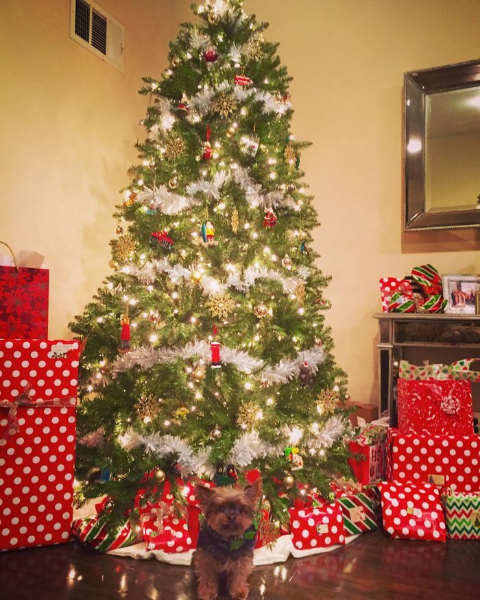 Chris Moorman's Christmas Tree