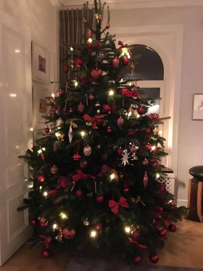 Sofia Lovgren's Christmas tree