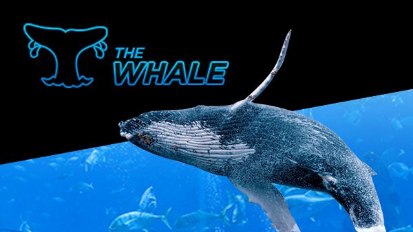 888poker The Whale
