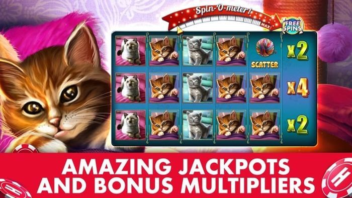 Kitten Craze Huuge Casino Slots Games