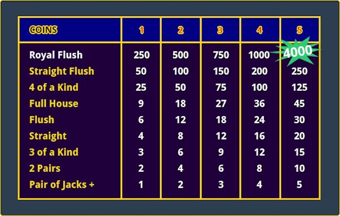 How do odds and payouts work in video poker?
