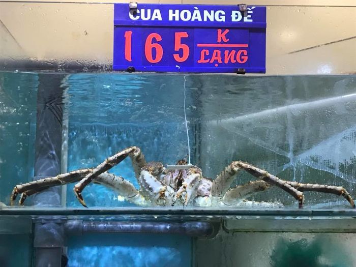 Vietnam crab