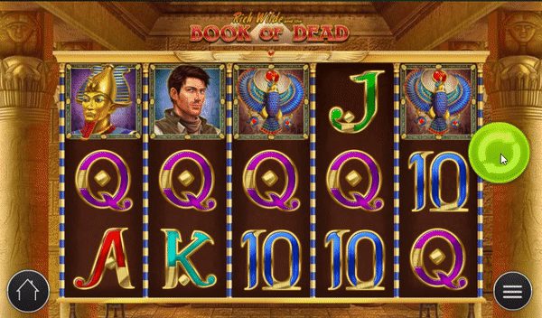 Book Of Dead Casino Free Spins