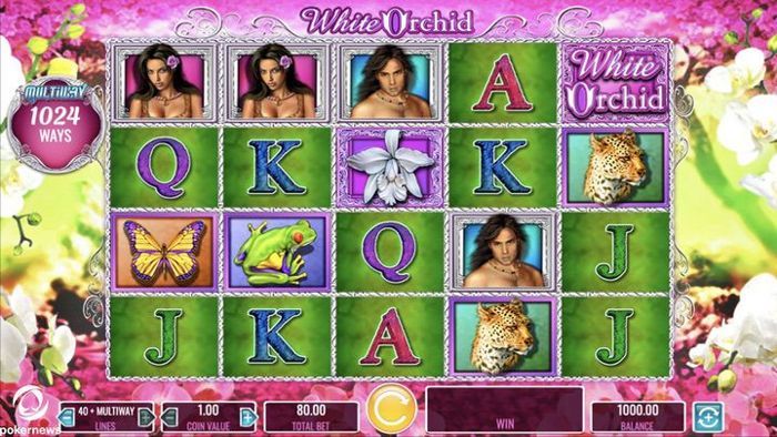 White Orchid Vegas Slot Online