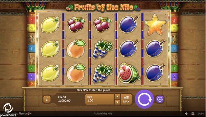 Fruit of the Nile Slot Machine