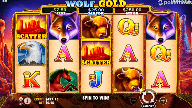 Wolf Gold Reels Image